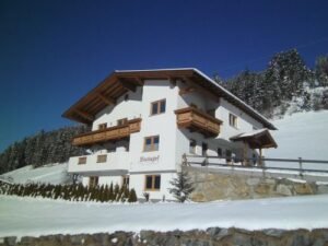 Chalet-appartement Blasinghof I - 4-6 personen - lastminute wintersport aanbiedingen