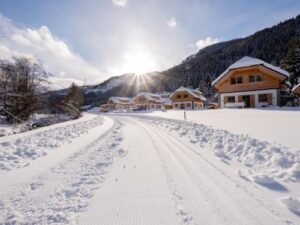Chalet Riesneralm Auerhahn - 10 personen - lastminute wintersport aanbiedingen