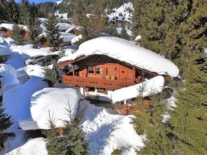 Chalet-appartement Merlenhütte Top OG - 5 personen - lastminute wintersport aanbiedingen