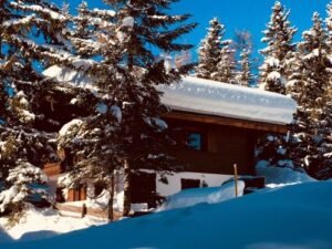 Chalet-appartement Tannenblick Tannenblick - 4 personen - lastminute wintersport aanbiedingen