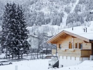 Chalet-appartement Wildenbach Jochblick - 4-6 personen - lastminute wintersport aanbiedingen