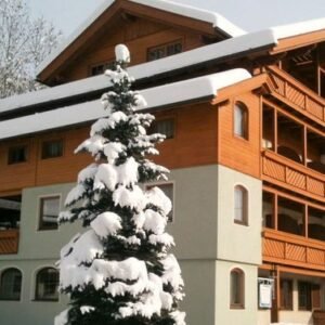 Familienhotel Steindl - lastminute wintersport aanbiedingen