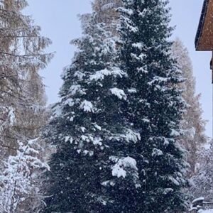 Park Hotel Sancelso - lastminute wintersport aanbiedingen